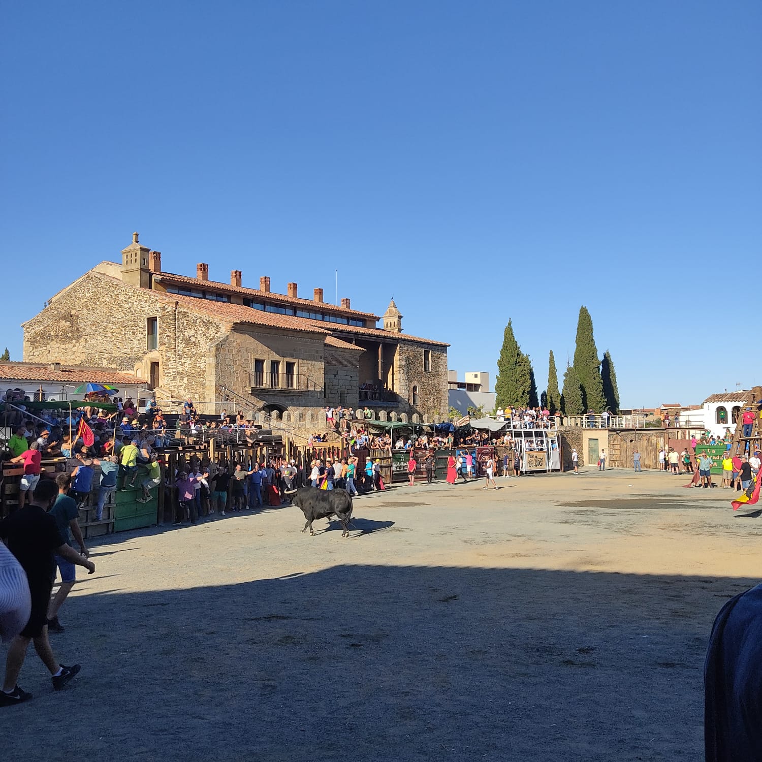 Festejos taurinos de San Roque (Garrovillas de Alconétar)