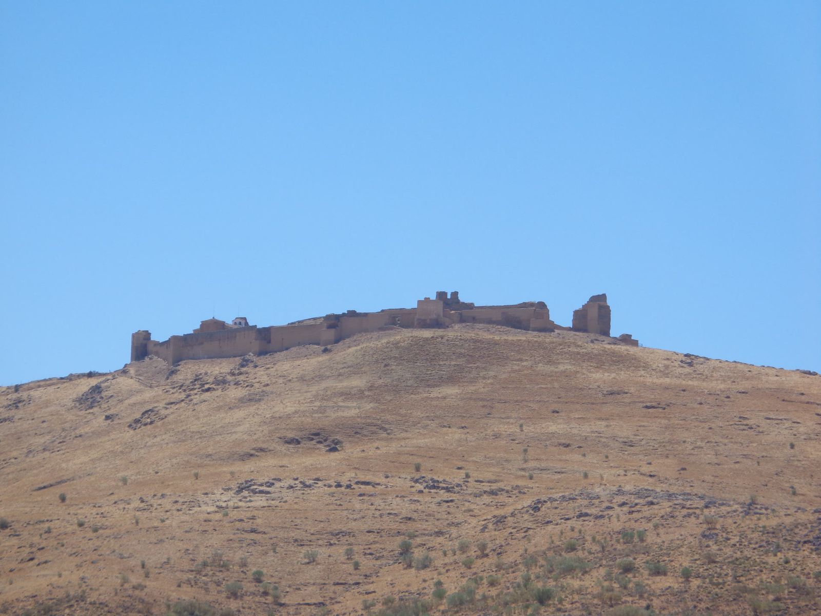 Alcazaba de Reina