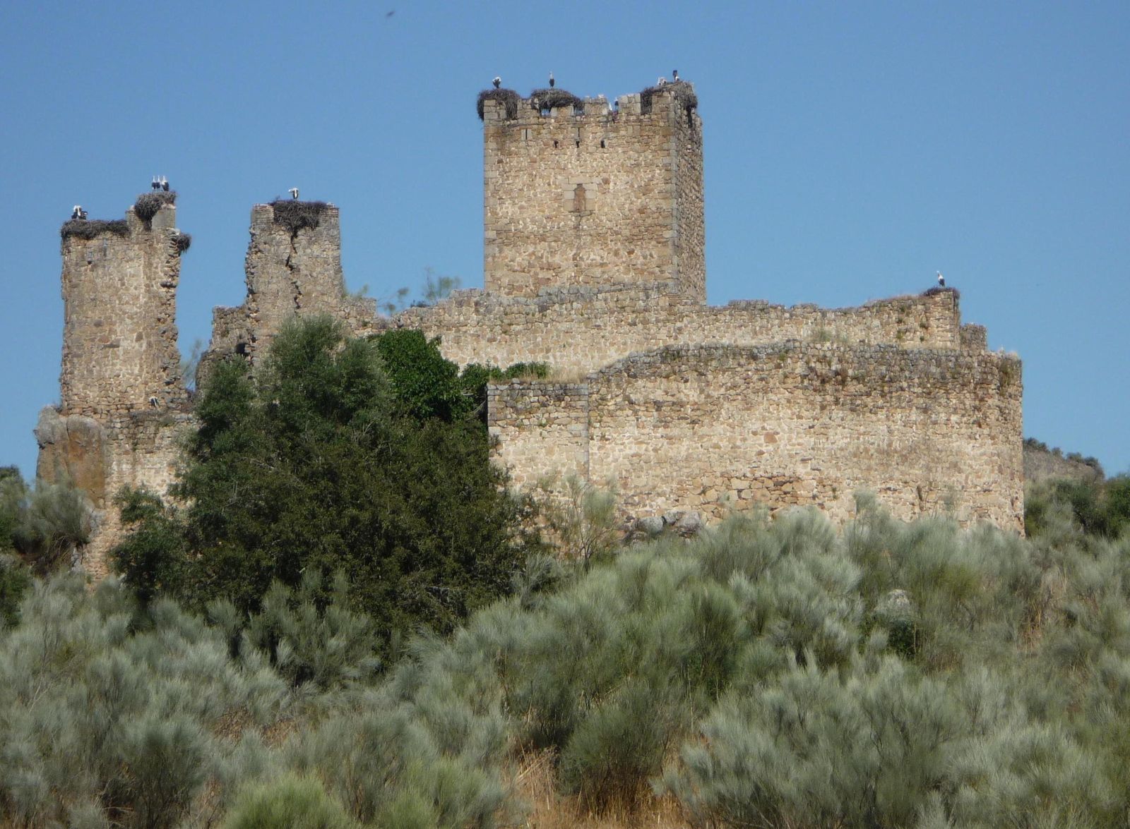 Castillo de Mayoralgo (Aldea del Cano)