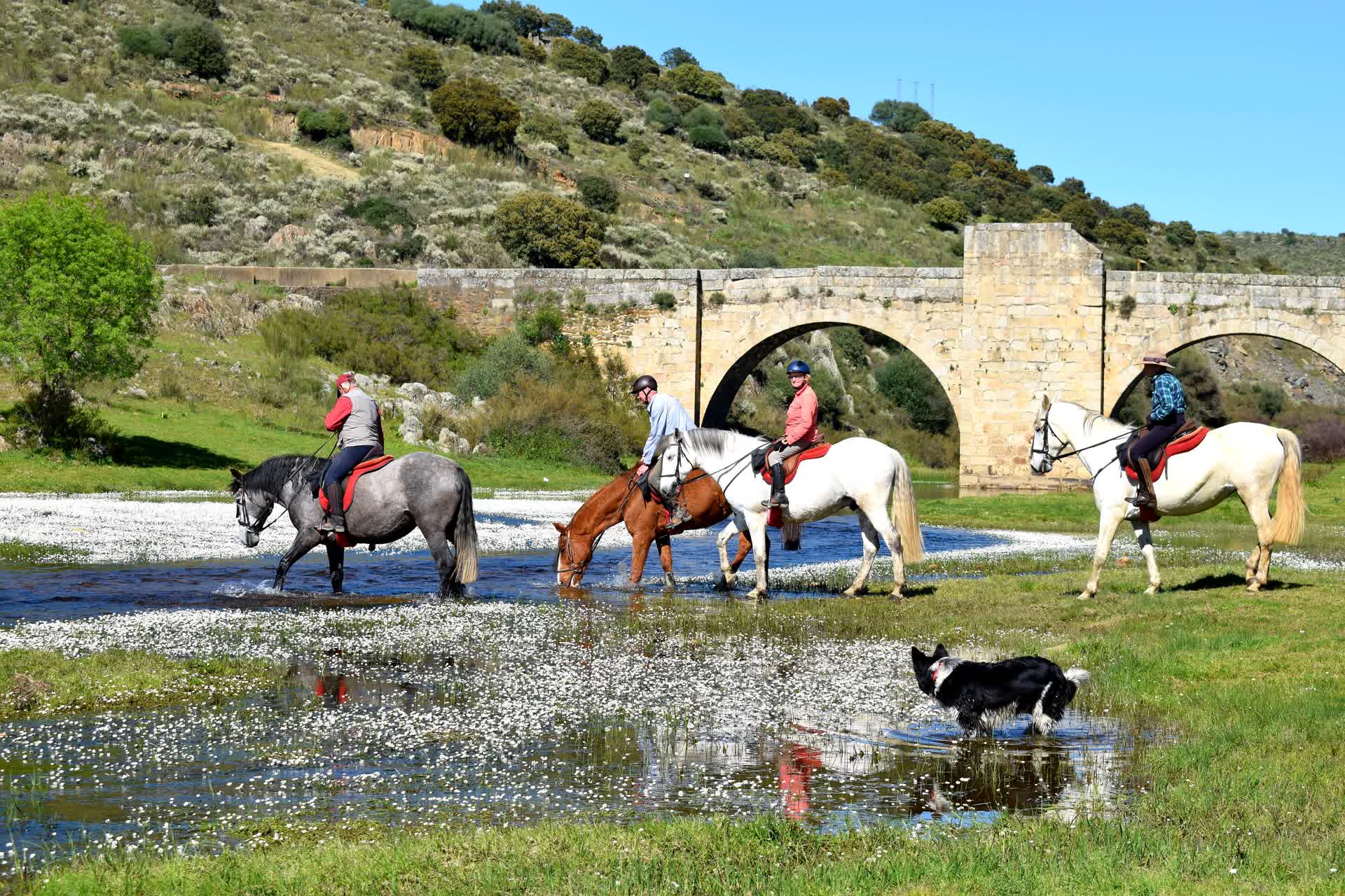 Puente del Cardenal (Jaraicejo)