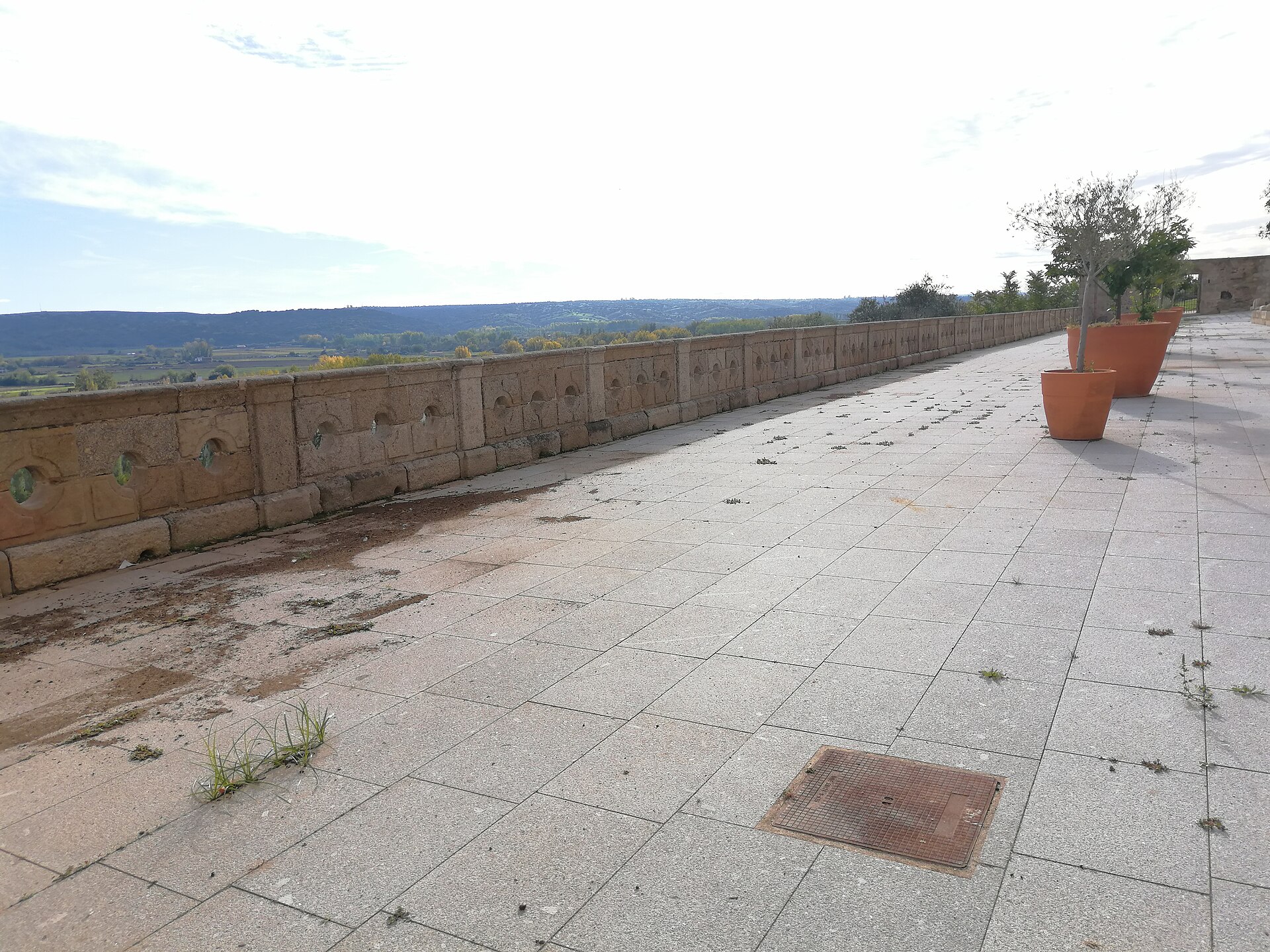Los Toros de San Juan