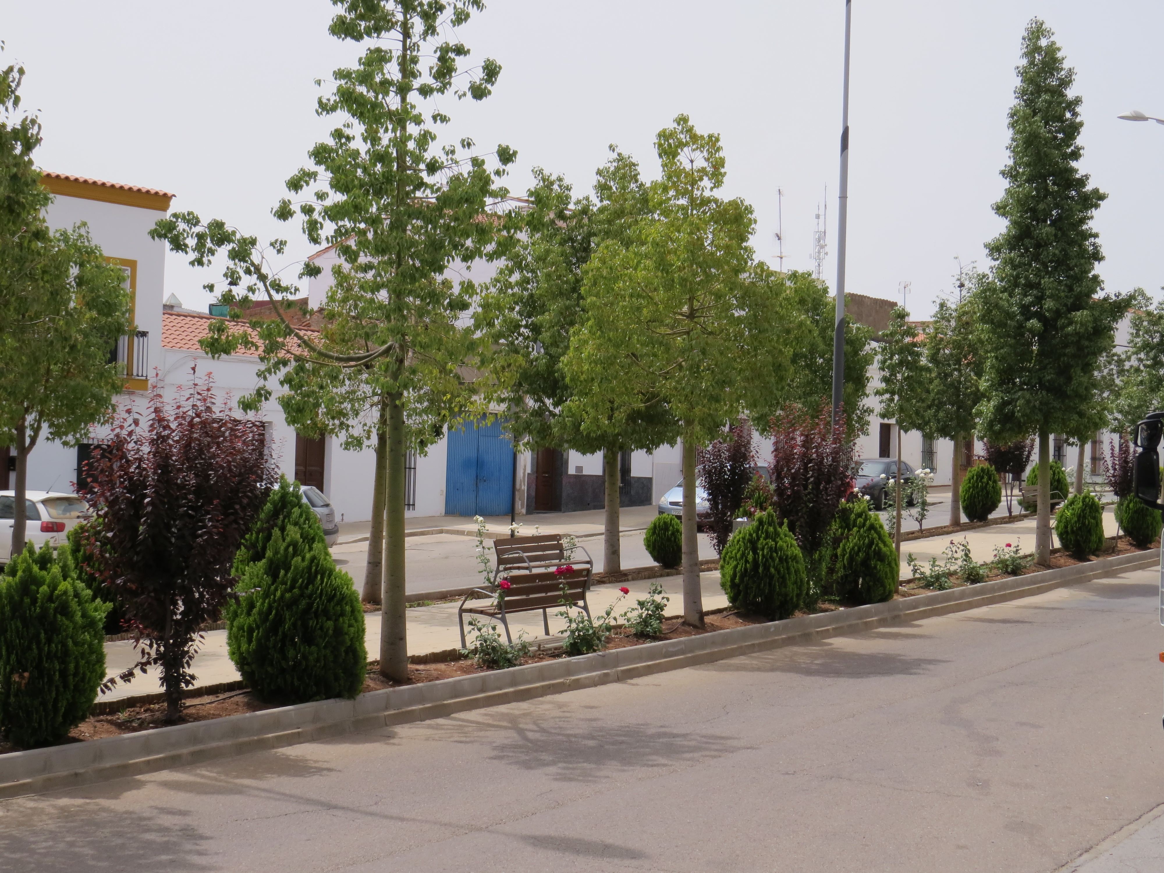 Fuente del Maestre