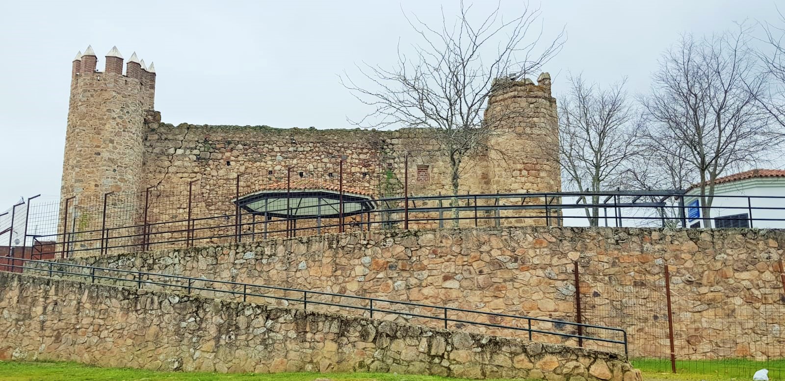 Higuera de Vargas