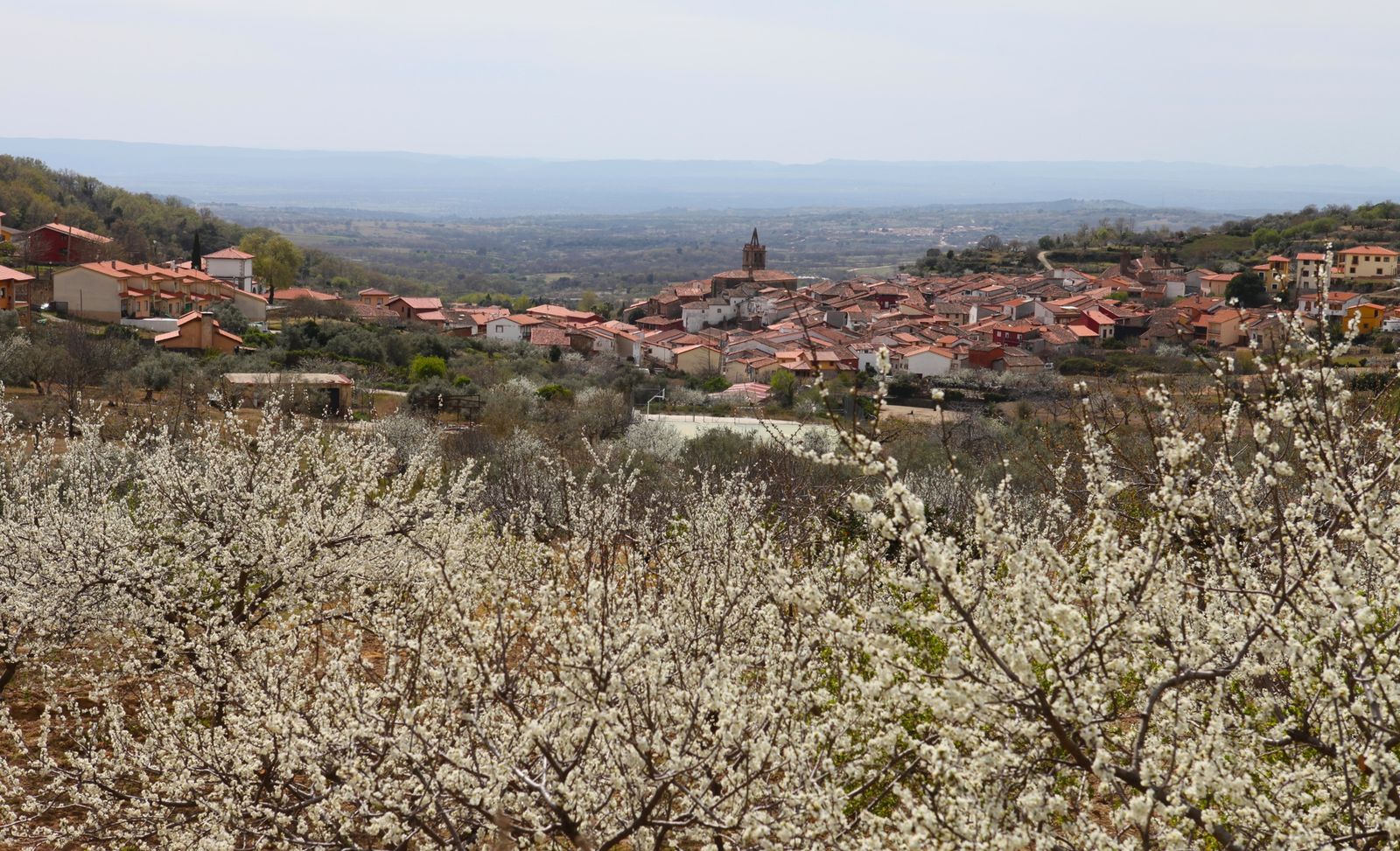 Pasarón de la Vera, Cáceres (Extremadura)