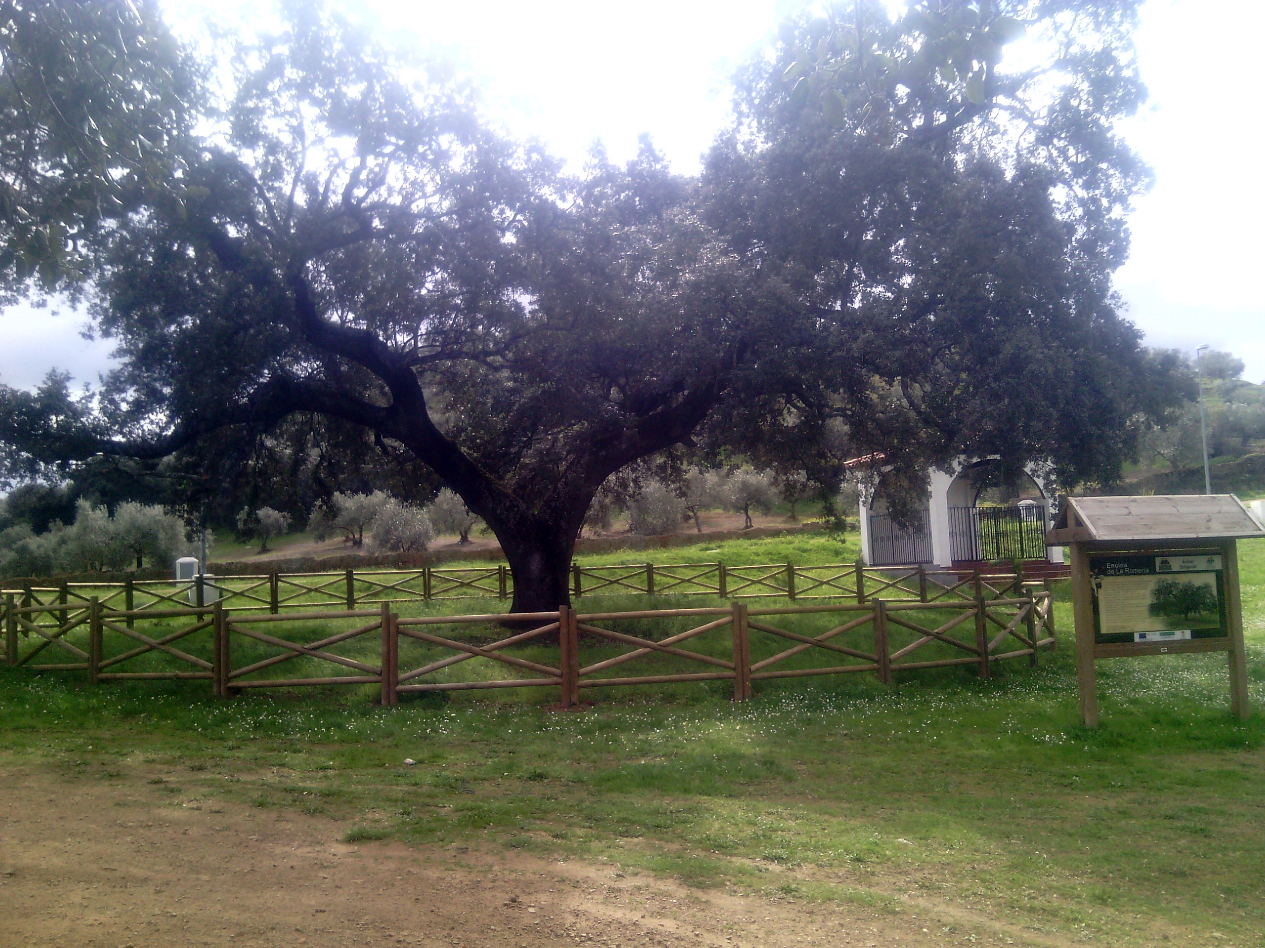 Puebla del Maestre
