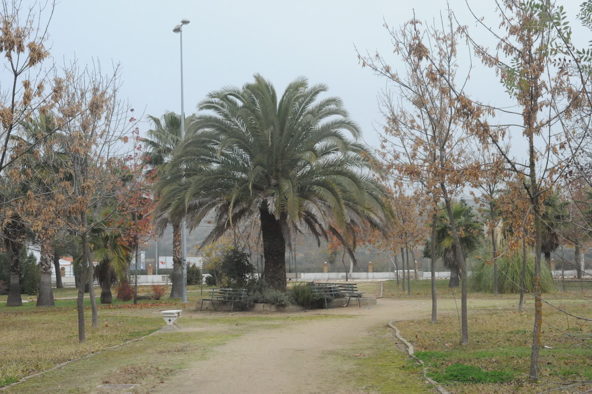 San Blas (Riolobos)