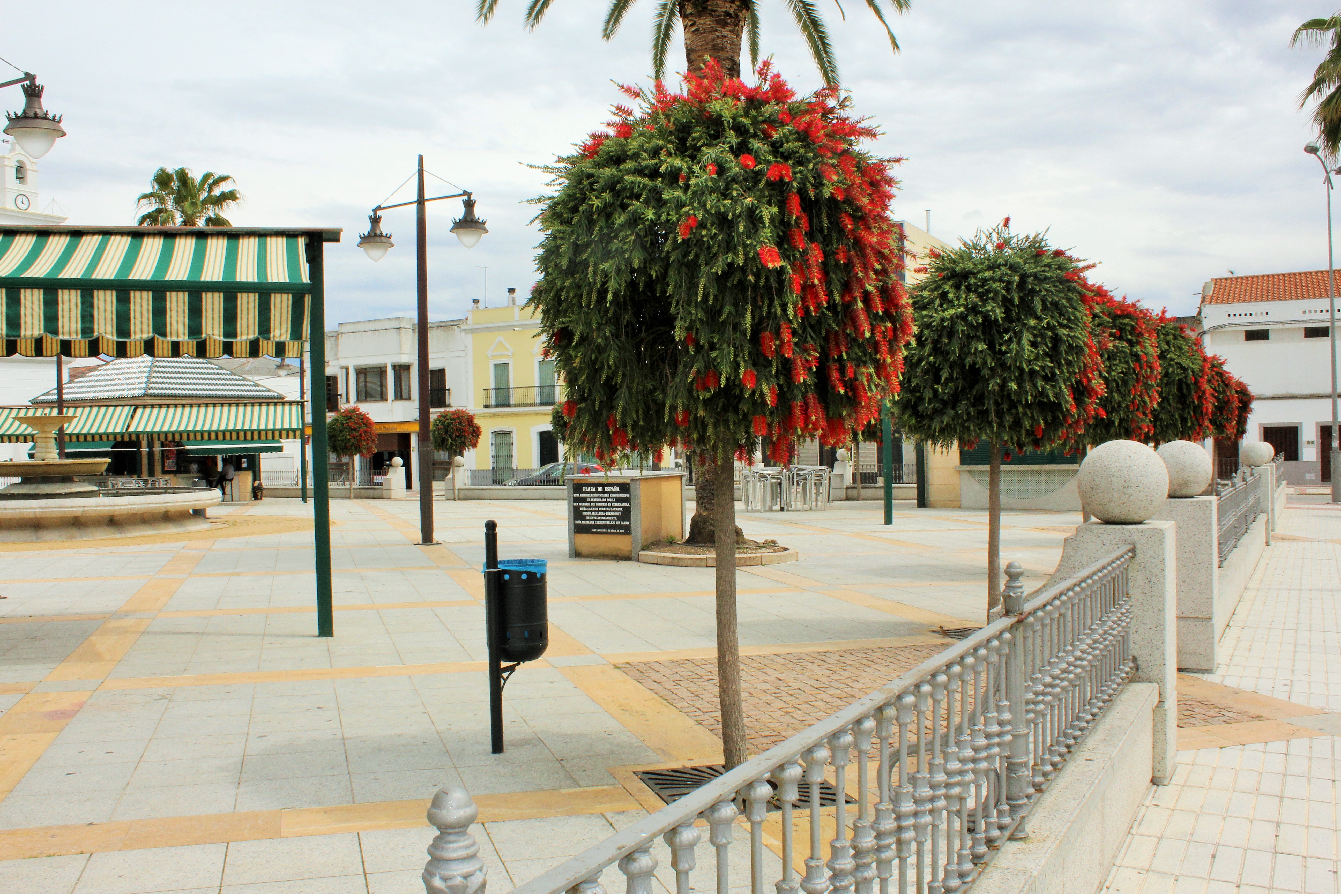 Santa Amalia
